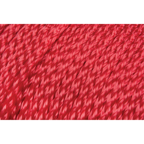Corde rouge tress&eacute;e, Polypropyl&egrave;ne, 500' D. Morneault & Fils