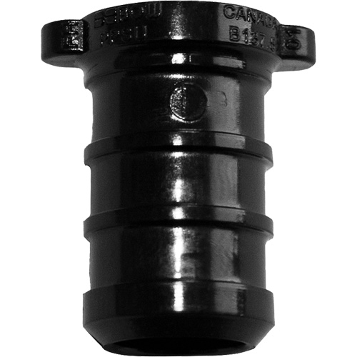 Pipe Plug, Pipe, 1" Dia., Polyalloy D. Morneault & Fils