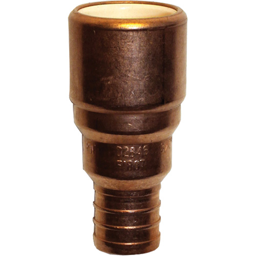 Adaptateur de tuyau, Embout femelle x PEX cannel&eacute;, 3/4" dia., Cuivre/PVC-C D. Morneault & Fils