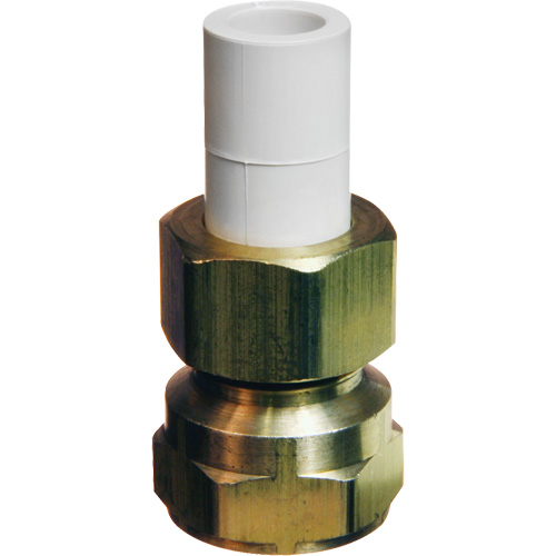 Transition Adapter, 1/2" Dia., Brass/CPVC D. Morneault & Fils