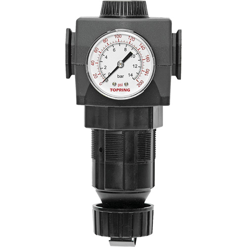 Regulator with Gauge Modulair 400, 3/4" NPTF, 125 PSI Max. PSI, In Line/Modular D. Morneault & Fils