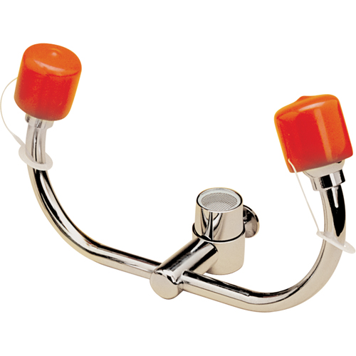 Eyewash Station, Sink Mount Installation D. Morneault & Fils