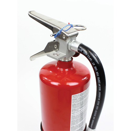 Extincteur d'incendie, ABC, Capacit&eacute; 10 lb D. Morneault & Fils
