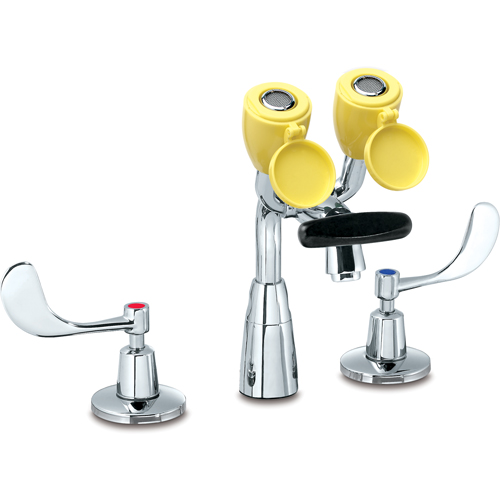 Faucet & Eyewash Station, Sink Mount Installation D. Morneault & Fils