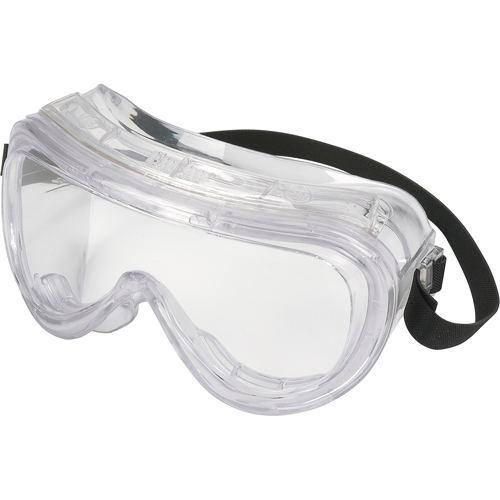 160 Series Safety Goggles, Clear Lens, Anti-Fog, Indirect Vent D. Morneault & Fils