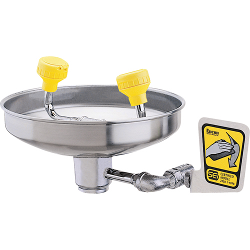 Douche oculaire avec t&ecirc;tes en polyac&eacute;tal, Installation Montage mural, Bol Acier inoxydable D. Morneault & Fils