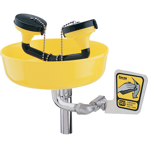 Poste de douche oculaire, Installation Support pour tuyau d'approvisionnement, Bol Plastique D. Morneault & Fils