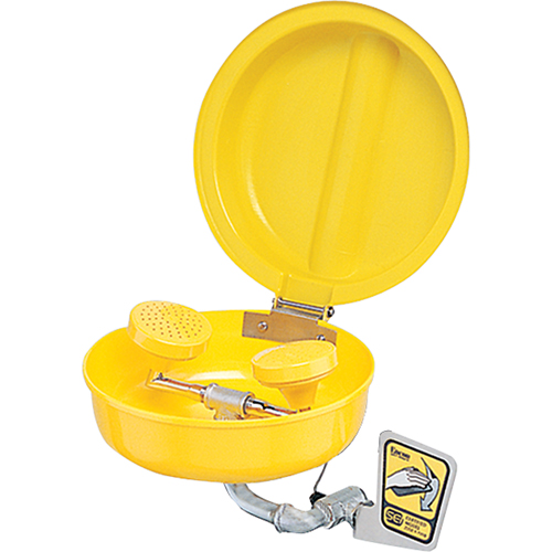 Eye/Face wash With Cover, Wall-Mount Installation, Plastic Bowl D. Morneault & Fils