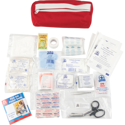First Aid Kit, Class 1 Medical Device, Nylon Bag D. Morneault & Fils