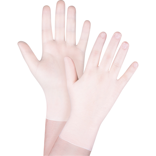 Disposable Gloves, X-Small, Vinyl, 4-mil, Powder-Free, White D. Morneault & Fils