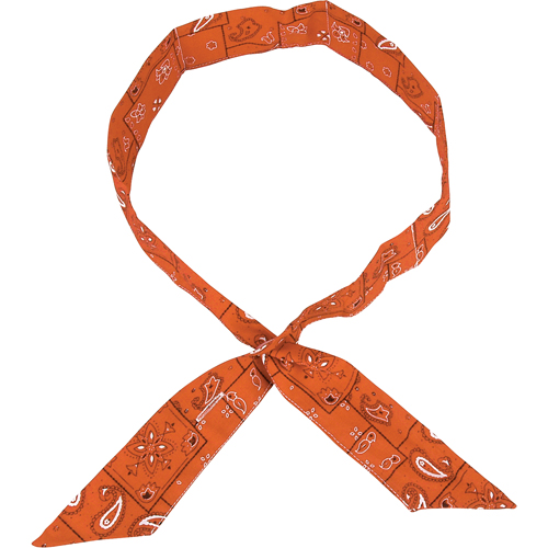 Cool Offs Bandana, High Visibility Orange D. Morneault & Fils