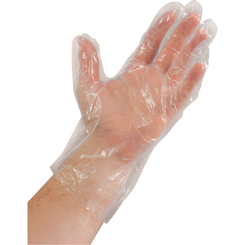 Disposable Gloves, Large, Polyethylene, 0.02-mil, Powder-Free, Clear D. Morneault & Fils
