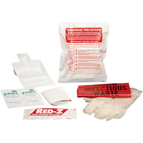 Fluid Spill Clean-Up Kit, Hazmat, Bag D. Morneault & Fils