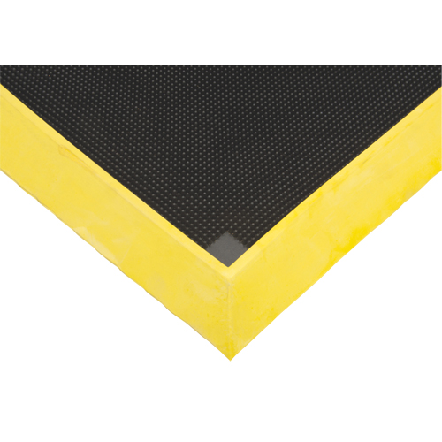 Tapis pour l'assainissement des chaussures, Caoutchouc, 2-2/3' la x 3-1/4' lo x 2-1/2" &eacute;pais, Jaune D. Morneault & Fils