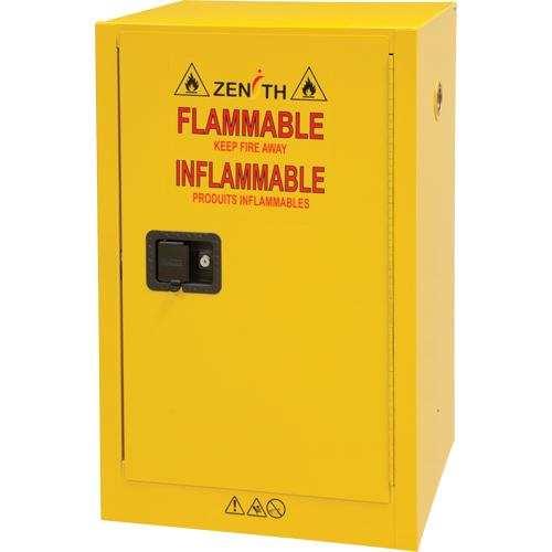 Flammable Storage Cabinet, 12 gal., 1 Door, 23" W x 35" H x 18" D D. Morneault & Fils