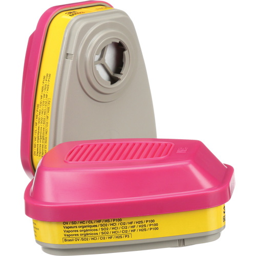 Cartouches pour respirateur s&eacute;rie 6000, Cartouche gaz/vapeur, Vapeurs organiques/Gaz acides/P100 D. Morneault & Fils