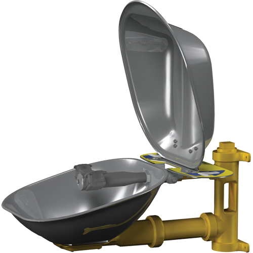 Halo Eyewash Stations, Wall-Mount Installation, Stainless Steel Bowl D. Morneault & Fils