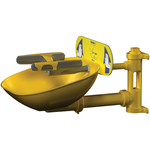 Halo Face/Eyewash Stations, Wall-Mount Installation, Plastic Bowl D. Morneault & Fils
