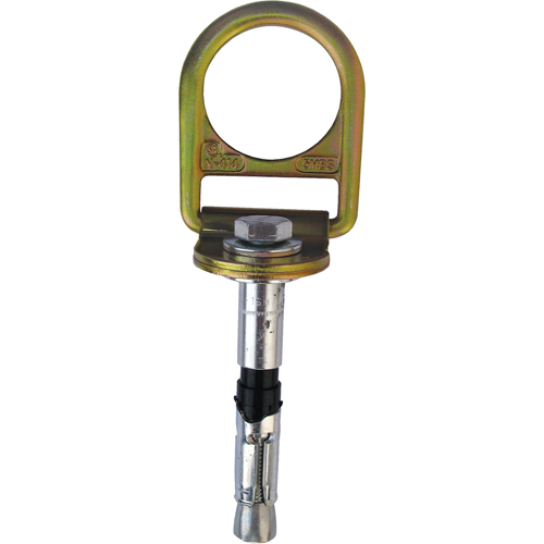 PRO Concrete D-ring Anchor with Bolt, Concrete/D-Ring, Permanent Use D. Morneault & Fils