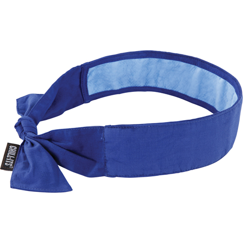 Chill-Its&reg; 6700CT Cooling Bandanas, Blue D. Morneault & Fils
