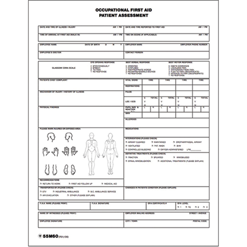 Patient Assessment Chart D. Morneault & Fils