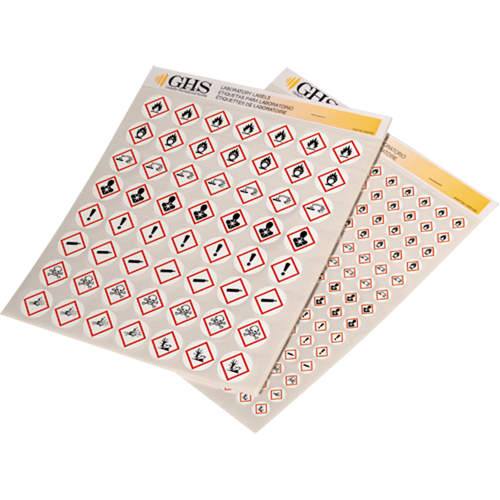 Assortiment d'&eacute;tiquettes avec pictogrammes sgh, Vinyle, Feuille, 1/2" lo x 1/2" la D. Morneault & Fils