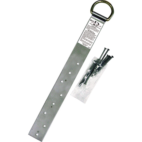 Miller&reg; Single Roof Anchor, D-Ring, Permanent Use D. Morneault & Fils