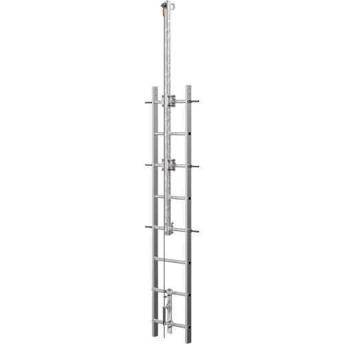Vi-Go Continuous Ladder Climbing Safety System with Automatic Pass-Through, Stainless Steel D. Morneault & Fils