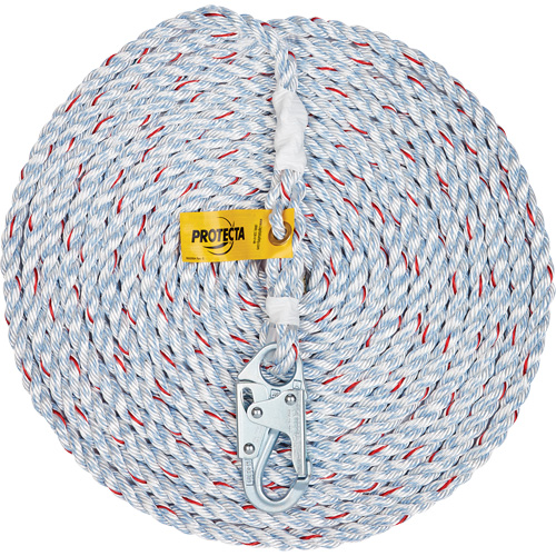 Rope Lifeline with Snap Hook D. Morneault & Fils