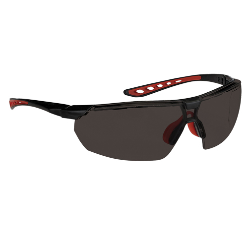 Dynamic Falcon Series Safety Glasses, Smoke Lens, Anti-Fog, ANSI Z87+/Meets/Exceeds CSA Z94.3 D. Morneault & Fils