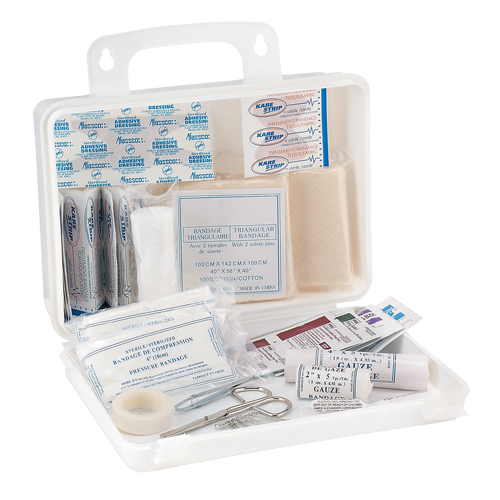 Dynamic Truck First Aid Kit, Class 1 Medical Device, Plastic B D. Morneault & Fils