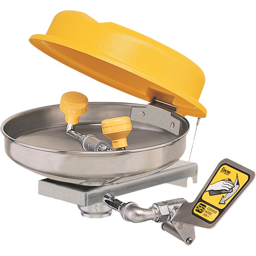 Eyewash Station, Wall-Mount Installation, Stainless Steel Bowl D. Morneault & Fils