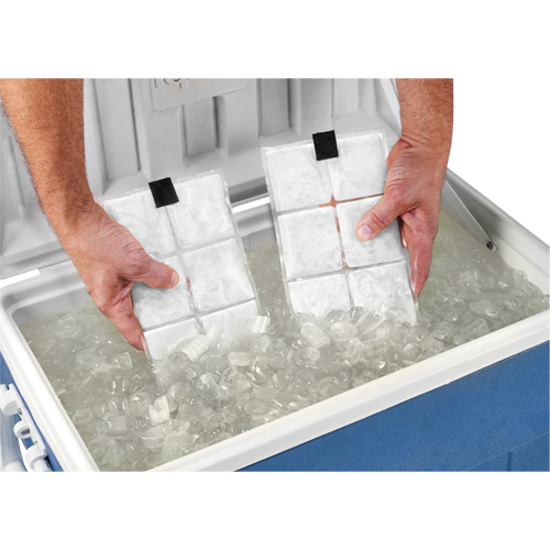 Sachets pour veste de refroidissement &agrave; changement de phase 6260 Chill-Its D. Morneault & Fils