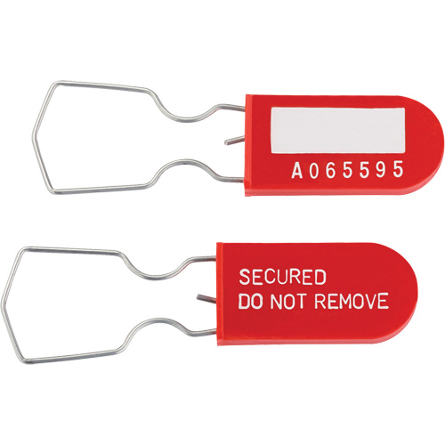 Dynamic Safety Equipment Inspection Tags, Plastic, 1" W x 2-1/4" H, English D. Morneault & Fils