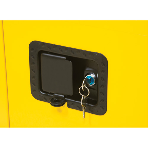 Flammable Storage Cabinet, 12 gal., 1 Door, 23" W x 35" H x 18" D D. Morneault & Fils