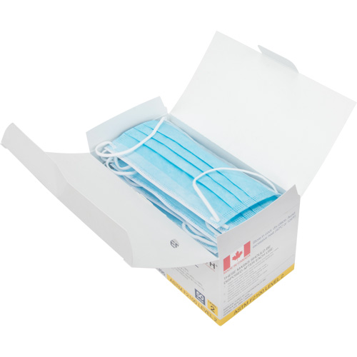 Disposable Procedure Face Masks, ASTM F2100 Level 2, Class 1 D. Morneault & Fils