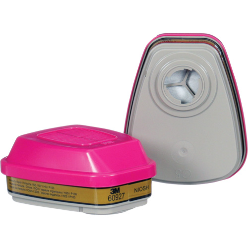 Cartouche, Combinaison cartouche et filtre contre les particules pour gaz/vapeurs, Gaz multiples/Vapeurs/P100 D. Morneault & Fils