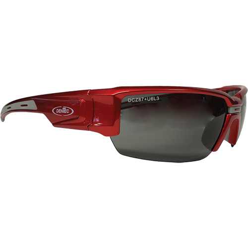Hartley Safety Glasses, Grey Lens, Polarized, Meets/Exceeds CSA Z94.3 D. Morneault & Fils