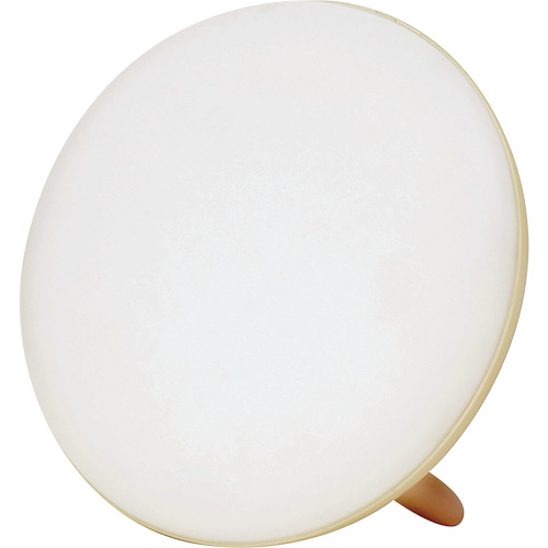 Jumbo Therapy Light for Seasonal Affective Disorder D. Morneault & Fils