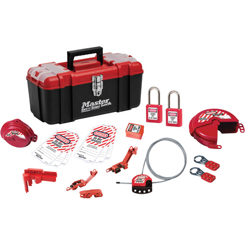 Basic Lockout Kit with Zenex Thermoplastic Locks, Electrical/Valve Kit, 19 Components D. Morneault & Fils