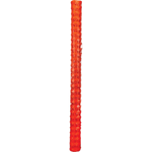 Cl&ocirc;ture &agrave; neige, 50' lo x 4' la, Orange D. Morneault & Fils