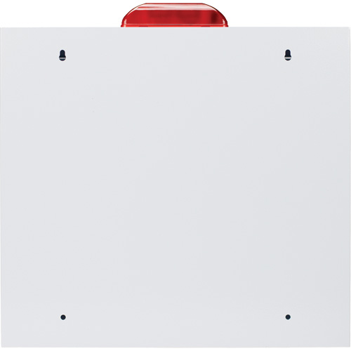 Standard Large AED Cabinet with Alarm & Strobe, Zoll AED Plus&reg;/Zoll AED 3/Cardio-Science/Physio-Control For, Non-Medical D. Morneault & Fils