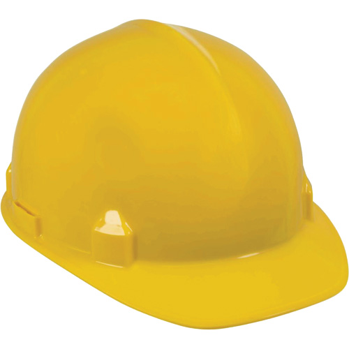 Casque de s&eacute;curit&eacute; SC-6, R&eacute;pond aux normes CSA type 1, Suspension Rochet, Non ventil&eacute; D. Morneault & Fils