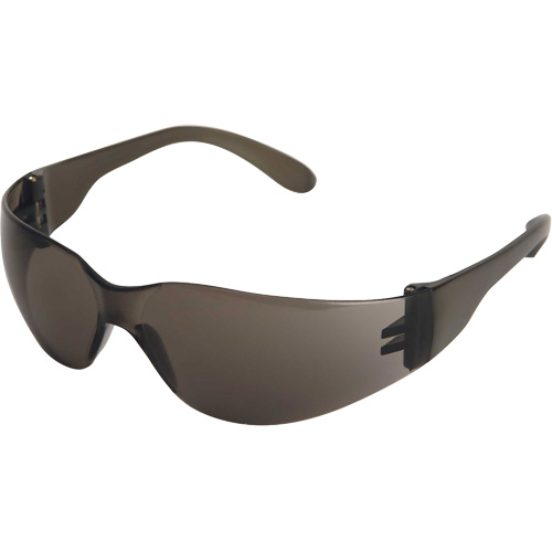 X300 Lunettes de s&eacute;curit&eacute;, Lentille Fum&eacute;e, Anti-&eacute;gratignures, ANSI Z87+/R&eacute;pond ou surpasse la norme CSA Z94.3 D. Morneault & Fils
