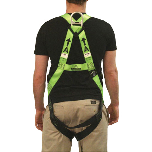 FBH-10000L Contractor Series Safety Harness, CSA Certified, Class AL, 400 lbs. Cap. D. Morneault & Fils