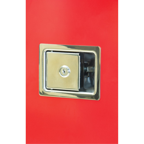 Armoires ext&eacute;rieures robustes pour extincteurs, 14" la x 28" h x 10" p D. Morneault & Fils