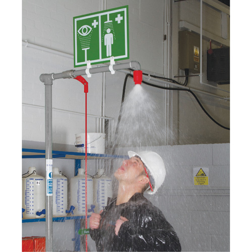 Combination Shower with Closed ABS Bowl & Top Inlet, Pedestal D. Morneault & Fils