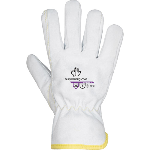 Endura&reg; 378WGKGTL Cut-Resistant Gloves, Size X-Small, Goatskin/TenActiv/Thinsulate Shell, ASTM ANSI Level A6 D. Morneault & Fils