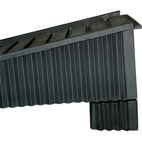 Ramp Extender D. Morneault & Fils