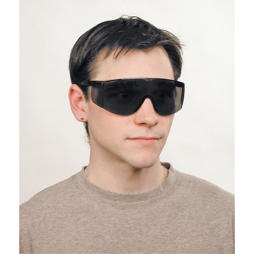 Lunettes de s&eacute;curit&eacute; Tacoma, Lentille Grise/fum&eacute;e, Anti-&eacute;gratignures, ANSI Z87+ D. Morneault & Fils